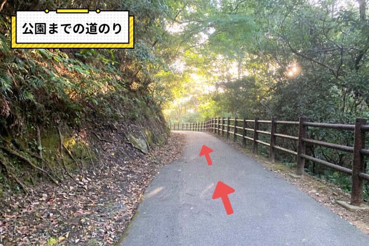 公園までの道のりの写真|そらいろ