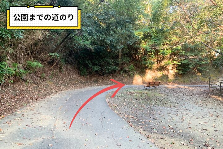 公園までの道のりの写真|そらいろ