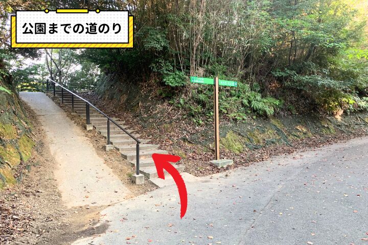 公園までの道のり（分かれ道）の写真|そらいろ