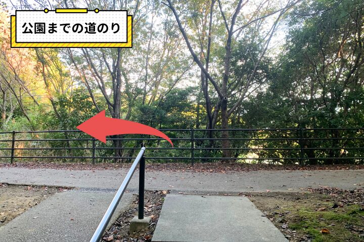 公園までの道のり（分かれ道）の写真|そらい）