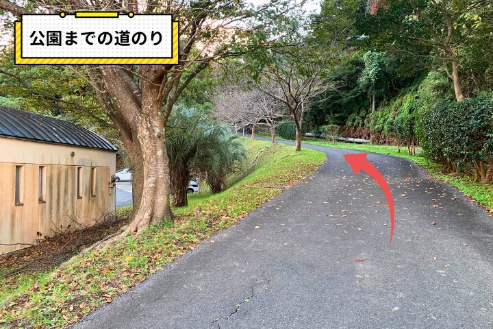 公園までの道のりの写真|そらいろ