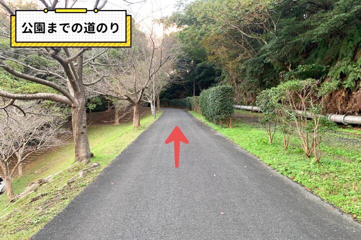 公園までの道のりの写真|そらいろ