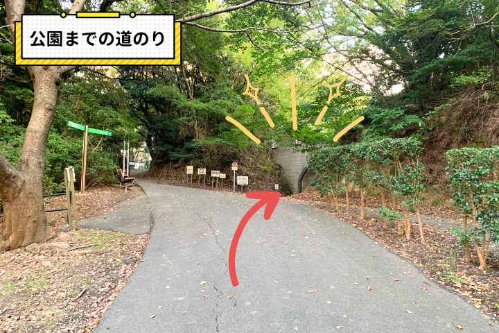 公園までの道のり（分かれ道）の写真|そらいろ