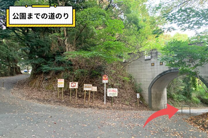 公園までの道のり（分かれ道）の写真|そらいろ